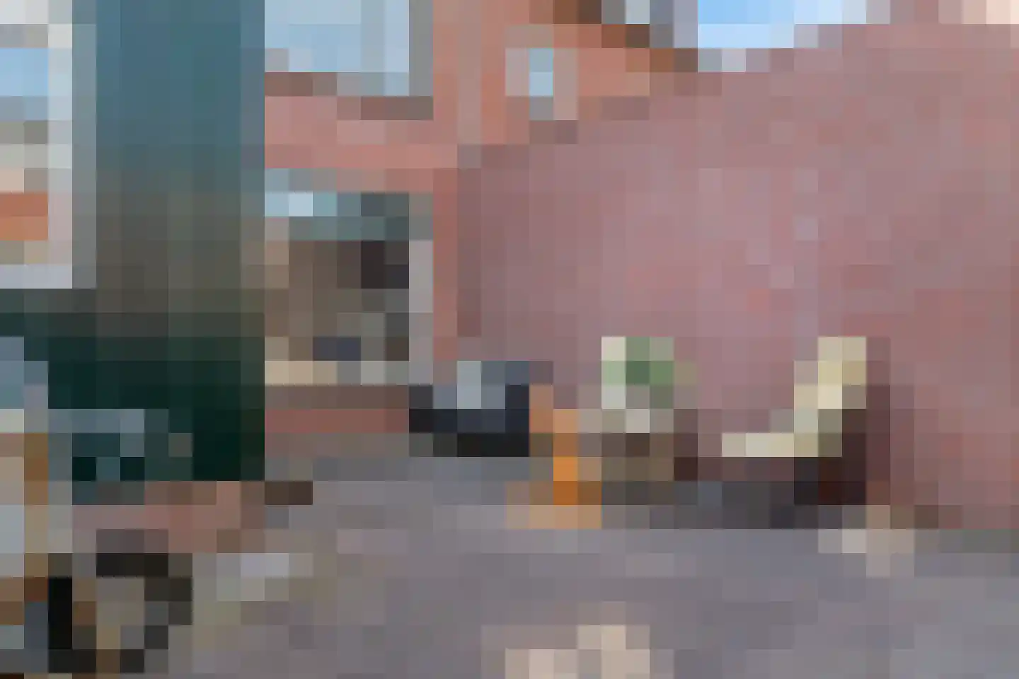 Dirk Thomaszstraat 3 Oud Ade thumbnail 26