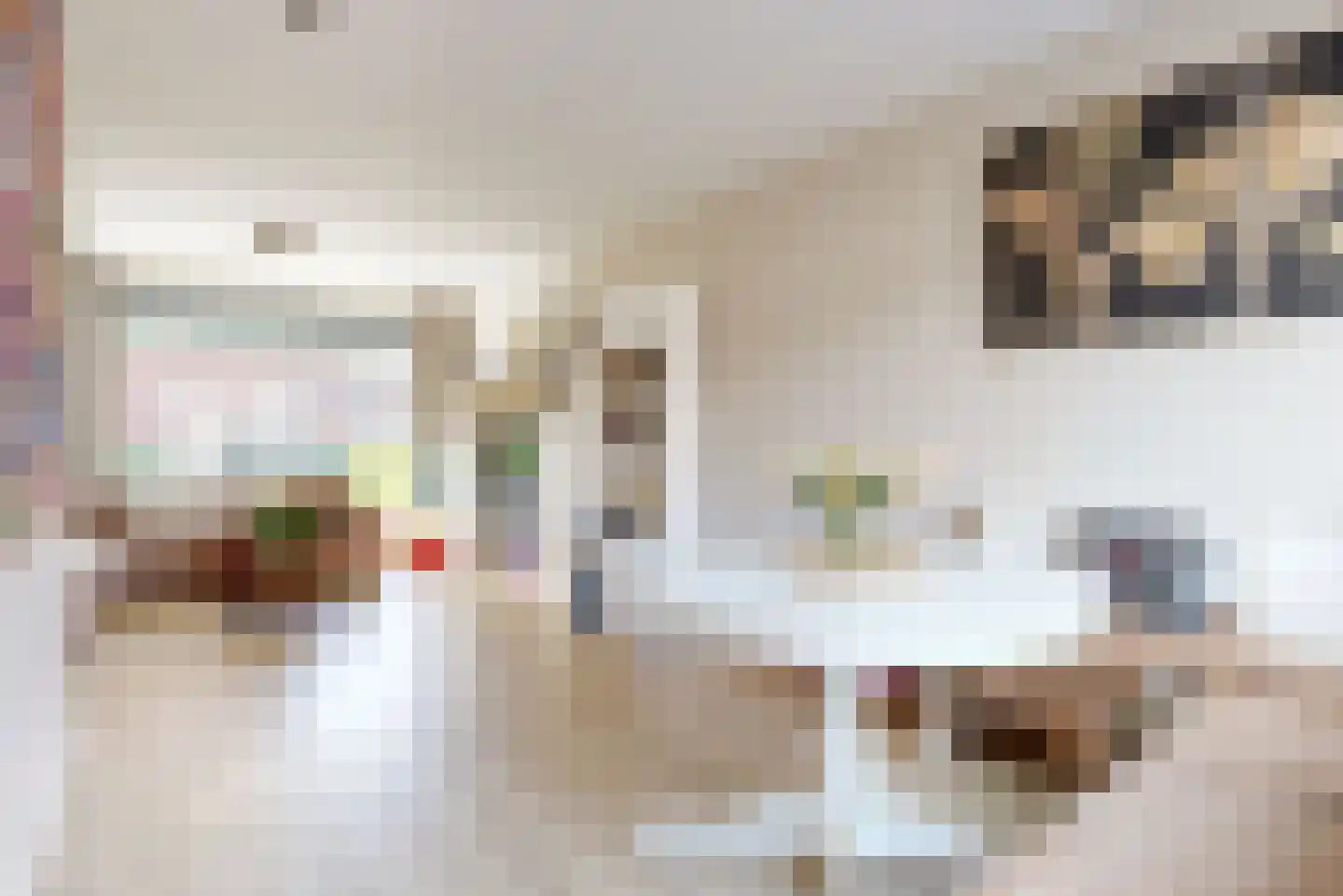 Dirk Thomaszstraat 3 Oud Ade thumbnail 8