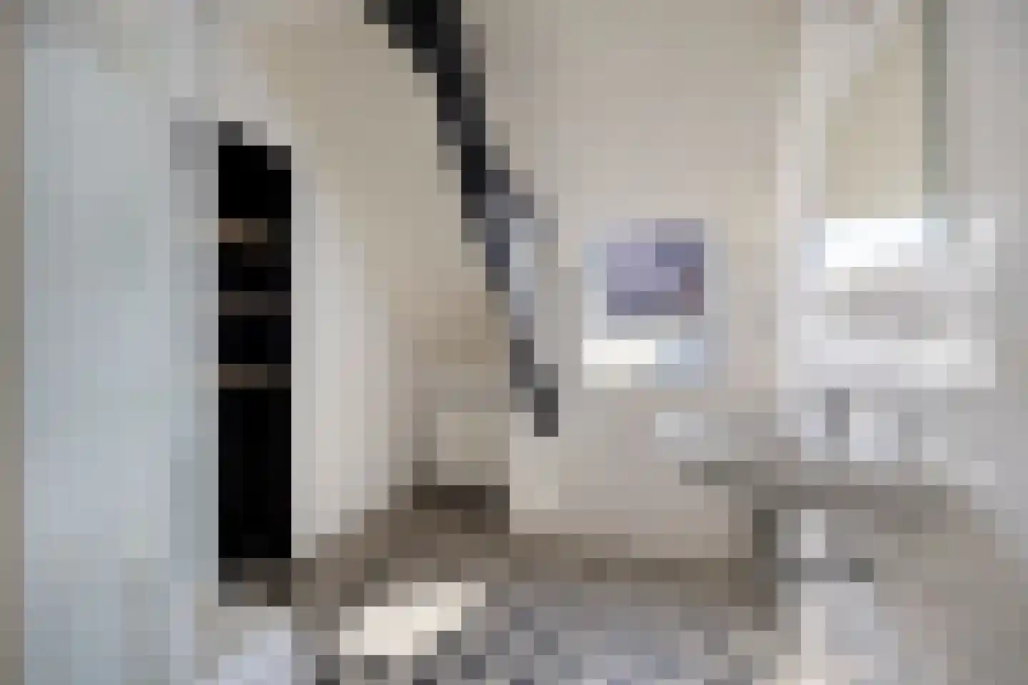 Dirk van Ameydenstraat 3 Oirschot thumbnail 10
