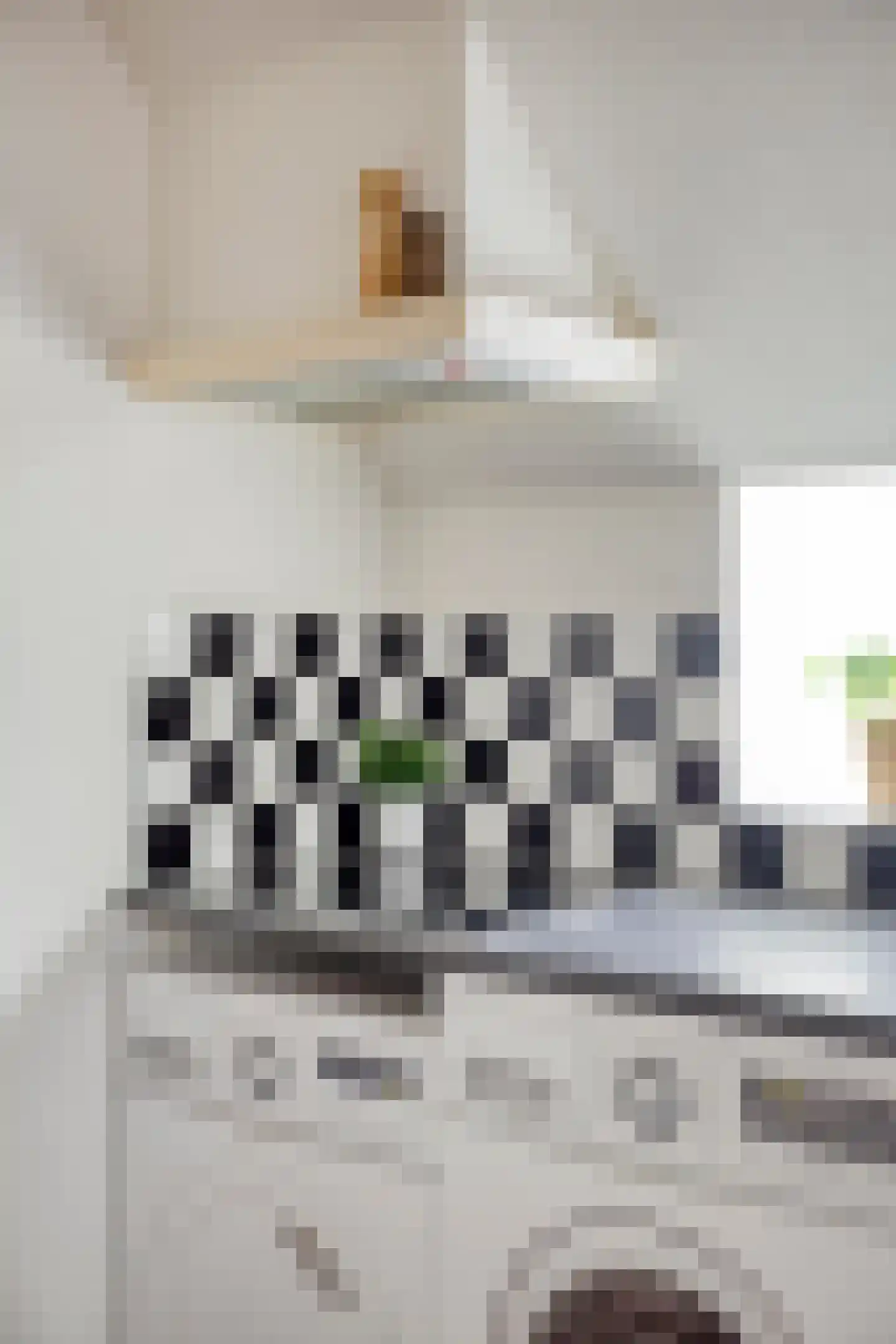 Dirk van Ameydenstraat 3 Oirschot thumbnail 14