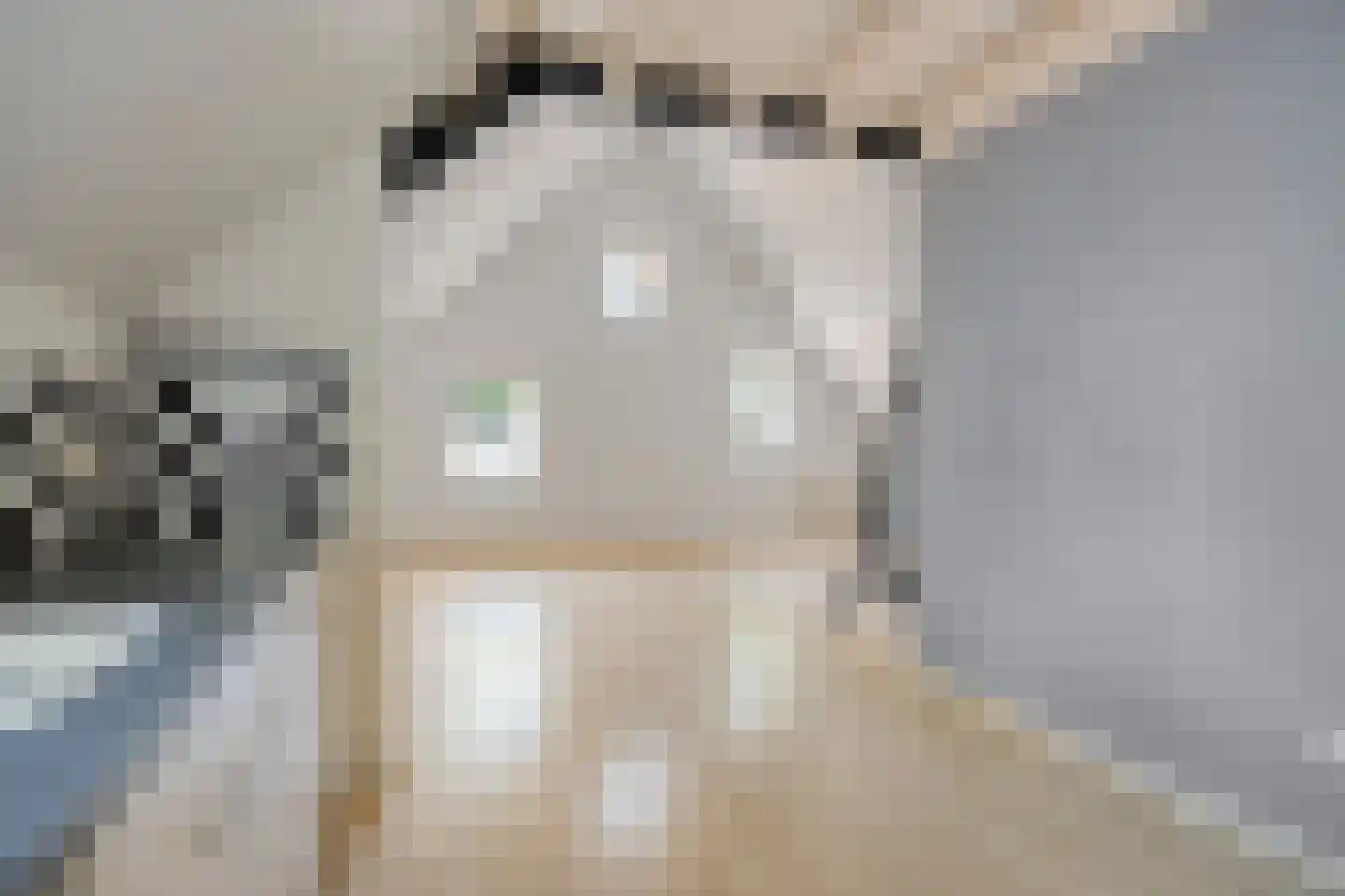 Dirk van Ameydenstraat 3 Oirschot thumbnail 14