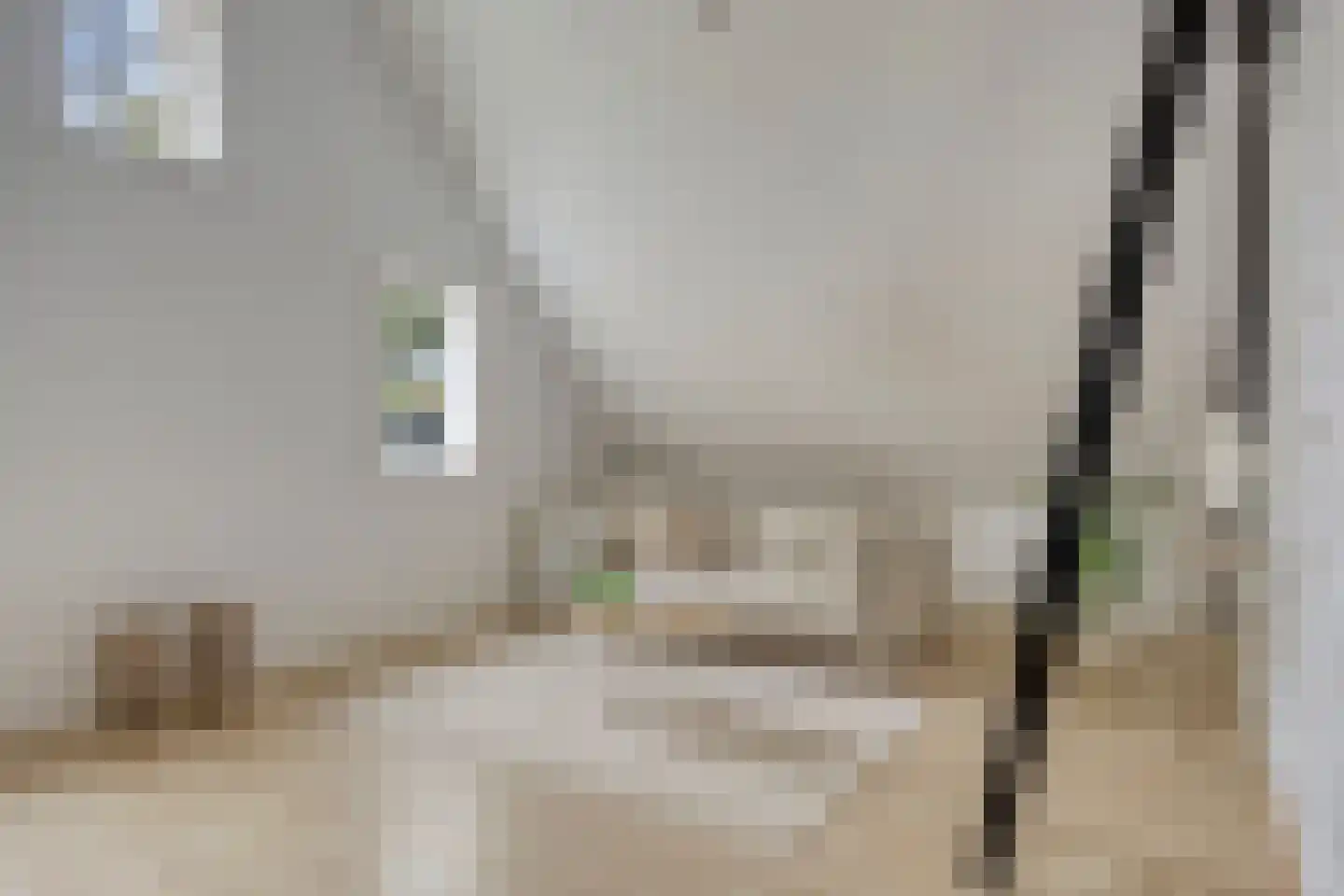 Dirk van Ameydenstraat 3 Oirschot thumbnail 16