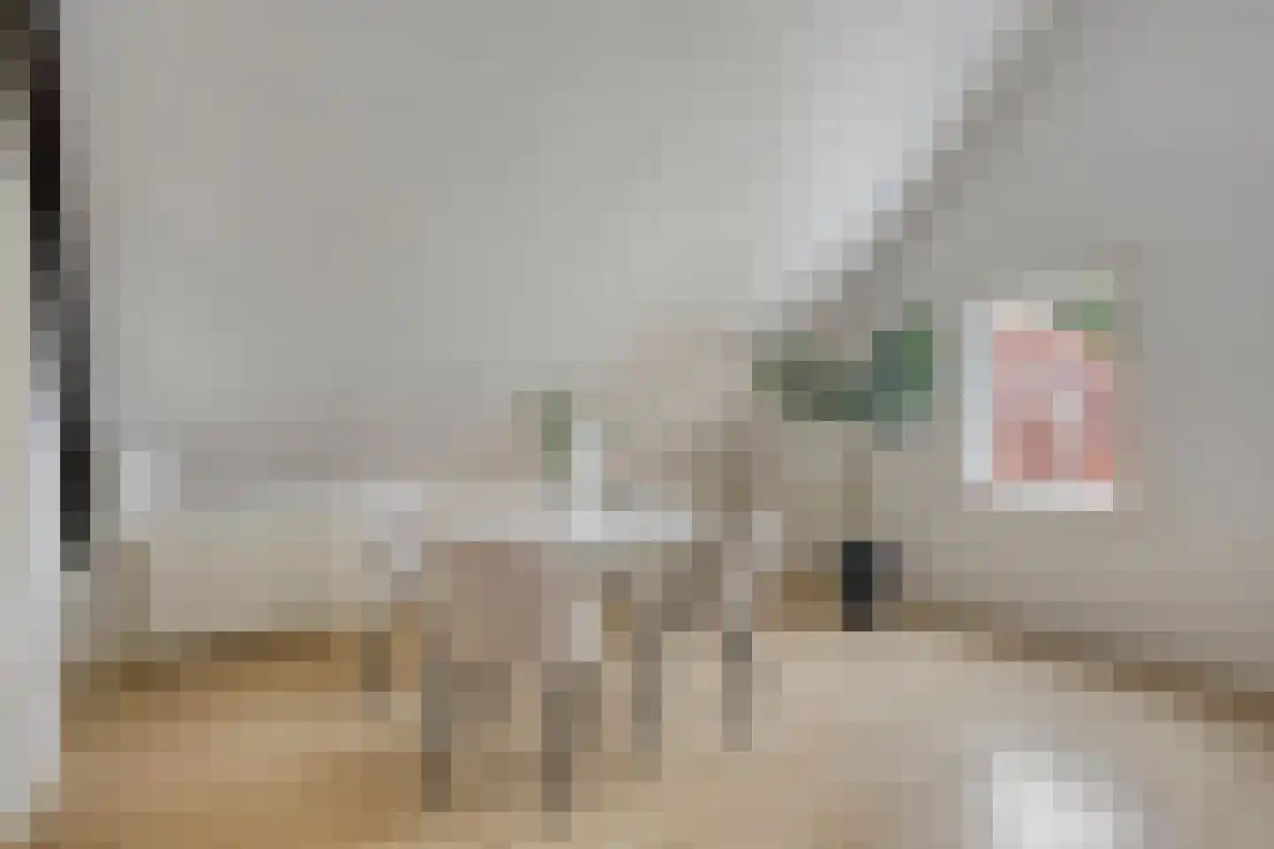 Dirk van Ameydenstraat 3 Oirschot thumbnail 18