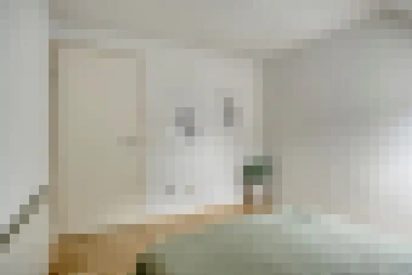 Dirk van Ameydenstraat 3 Oirschot thumbnail 27