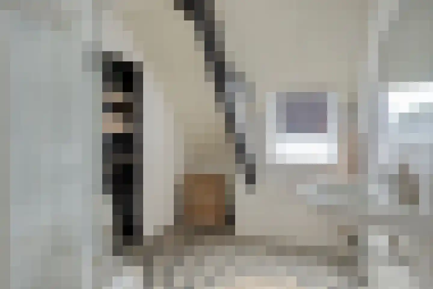Dirk van Ameydenstraat 3 Oirschot thumbnail 28