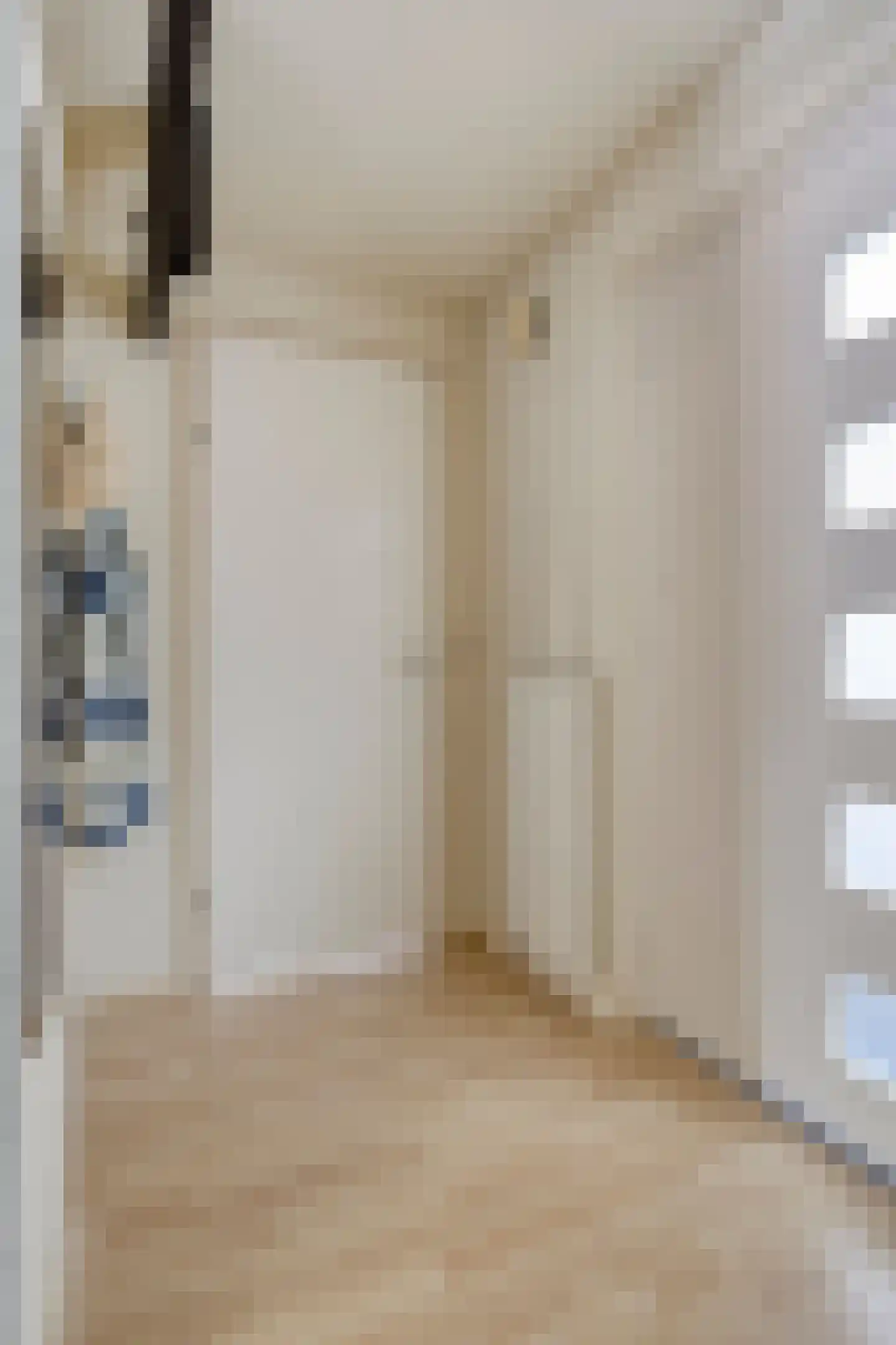 Dirk van Ameydenstraat 3 Oirschot thumbnail 9