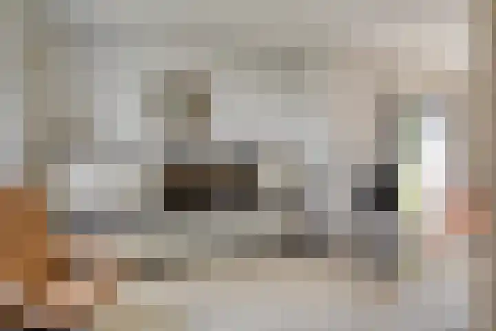 Dirk van Clevestraat 9 Almkerk thumbnail 11