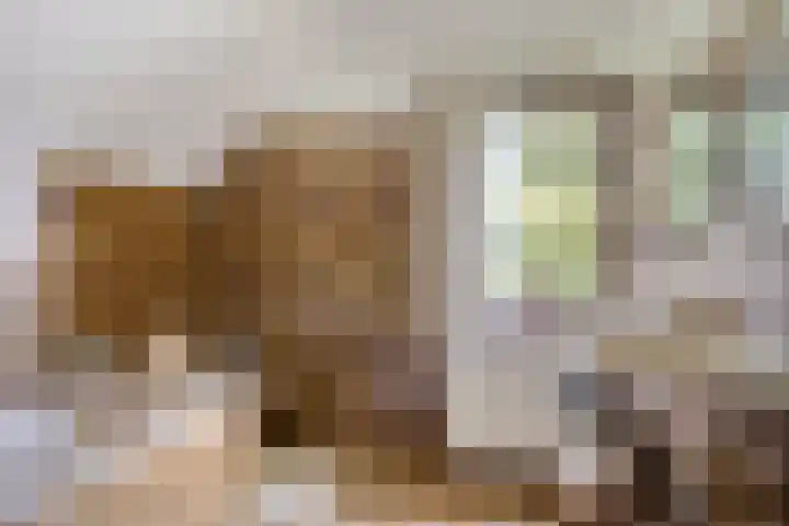 Dirk van Clevestraat 9 Almkerk thumbnail 22