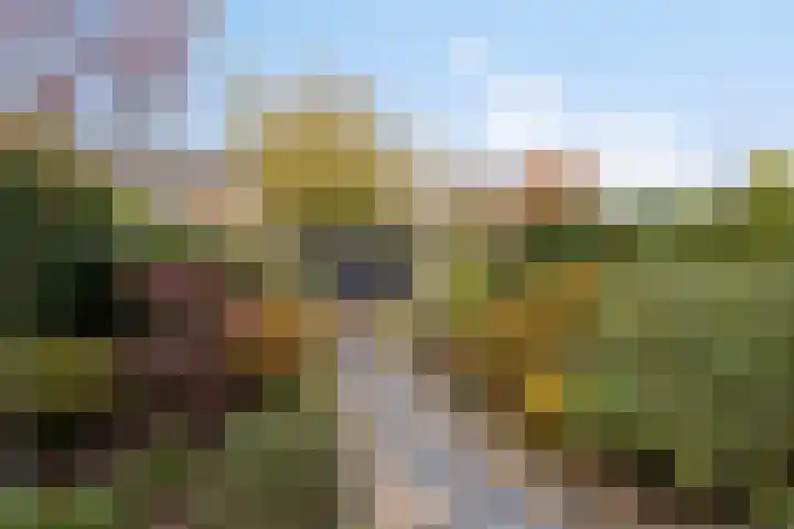 Dirk van den Burgweg 103 Hoek van Holland thumbnail 37