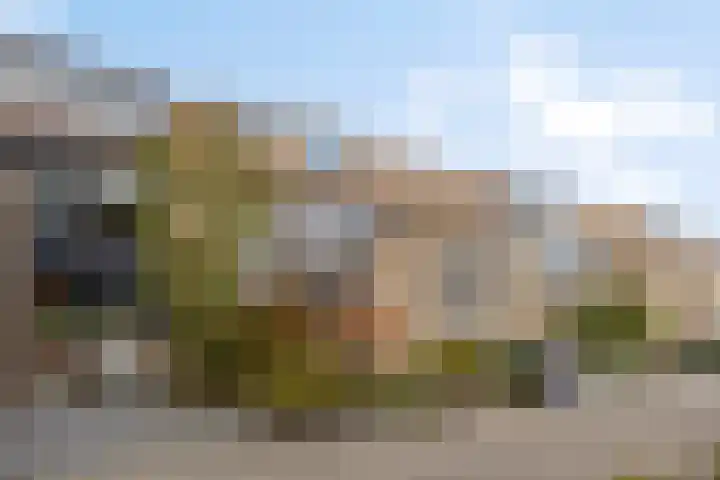 Dirk van den Burgweg 103 Hoek van Holland thumbnail 7