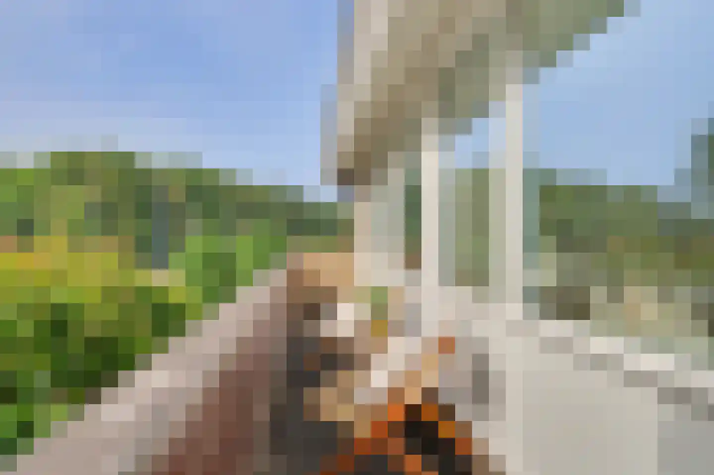 Dirk van den Burgweg 87 Hoek van Holland thumbnail 33