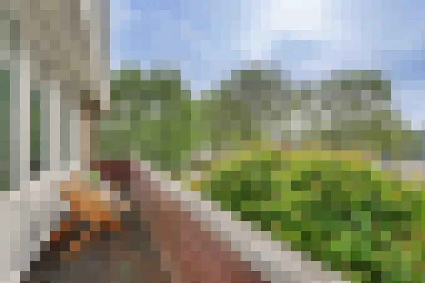 Dirk van den Burgweg 87 Hoek van Holland thumbnail 34