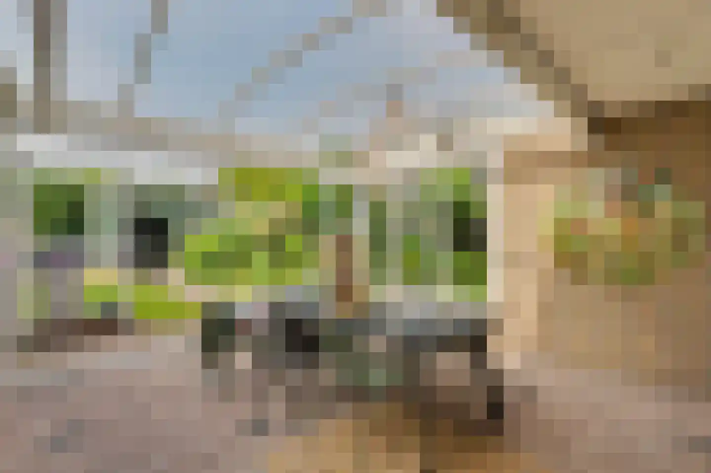 Dirk van den Burgweg 87 Hoek van Holland thumbnail 47