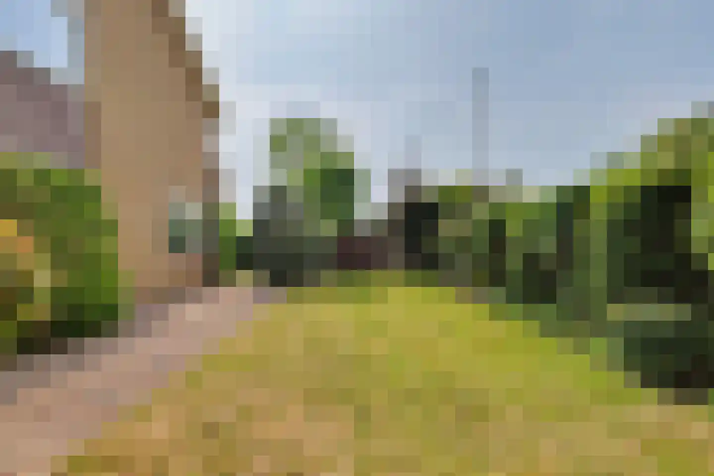 Dirk van den Burgweg 87 Hoek van Holland thumbnail 52