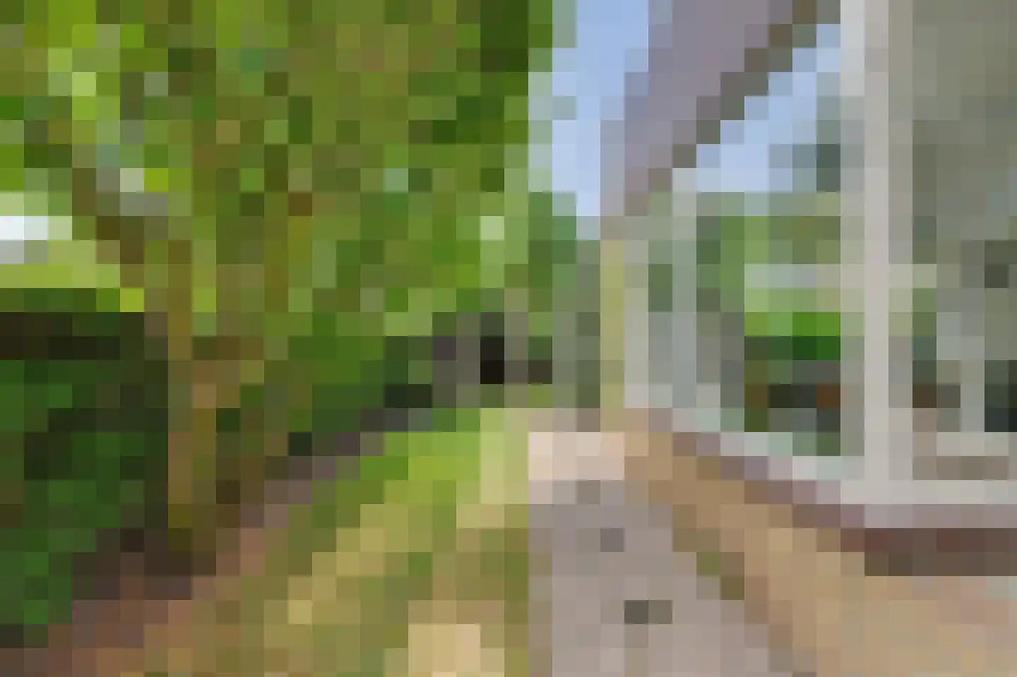 Dirk van den Burgweg 87 Hoek van Holland thumbnail 56