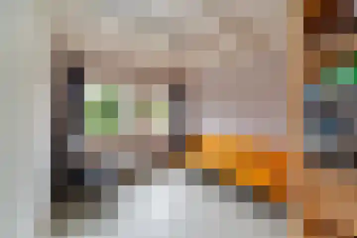 Dirk van der Knijfstraat 6 's-Gravenzande thumbnail 23
