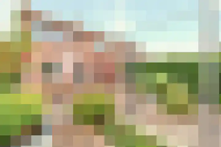 Dirk van der Knijfstraat 6 's-Gravenzande thumbnail 25
