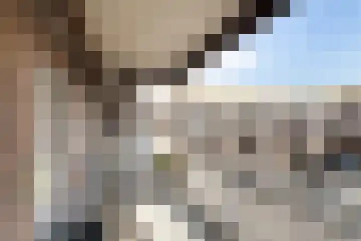Dirk van der Kooijweg 10 Rotterdam thumbnail 21