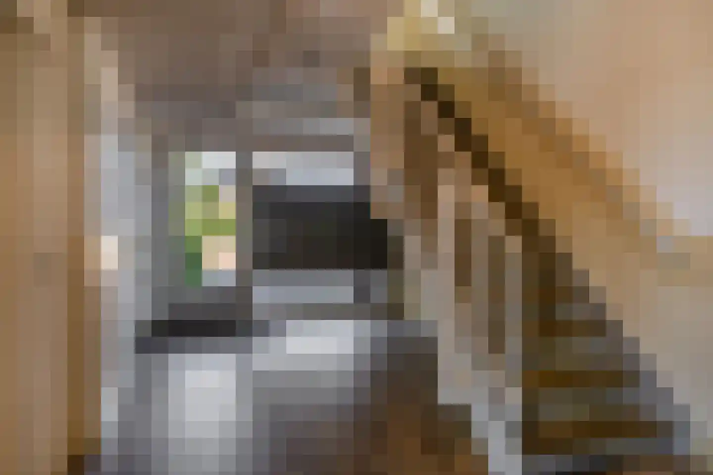 Dirk van der Kooijweg 20 Rotterdam thumbnail 13