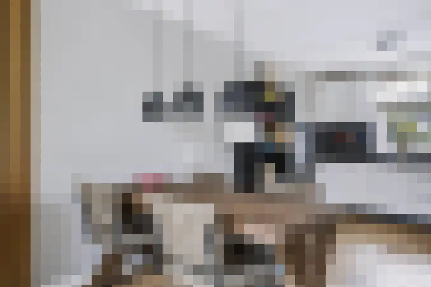 Dirk van Gheijnlaan 12 Barneveld thumbnail 9