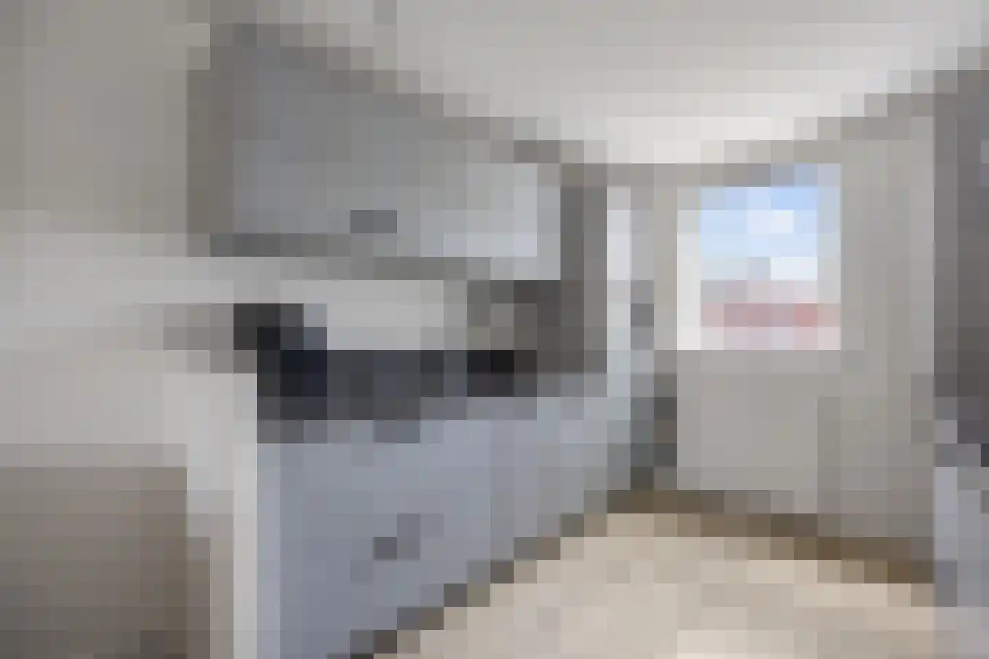 Dirk van Gheijnlaan 16 Barneveld thumbnail 14