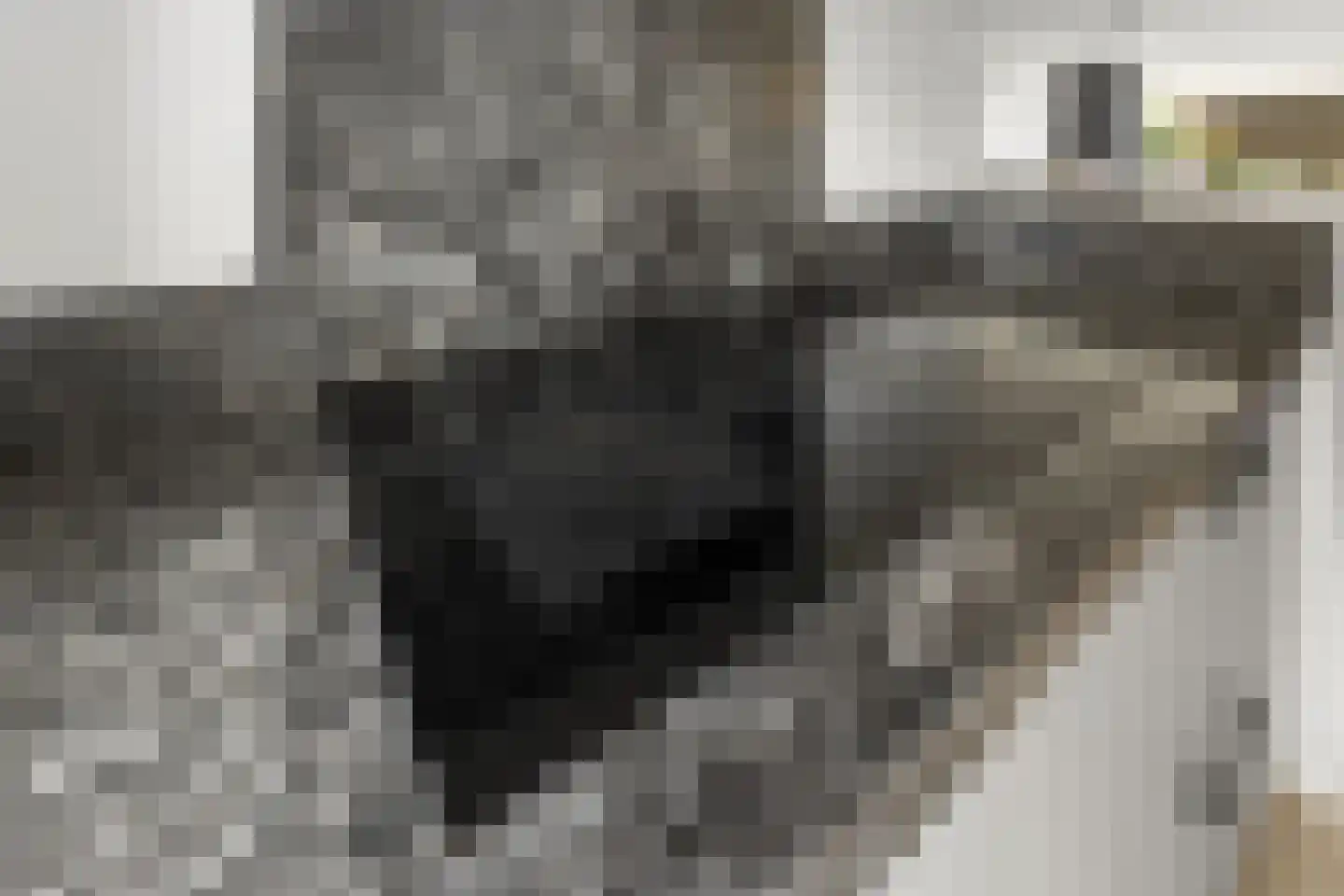 Dirk van Gheijnlaan 16 Barneveld thumbnail 16