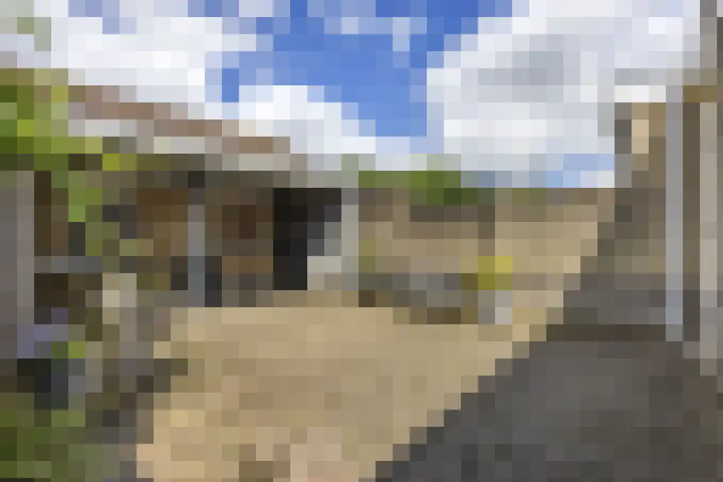 Dirk van Gheijnlaan 16 Barneveld thumbnail 33