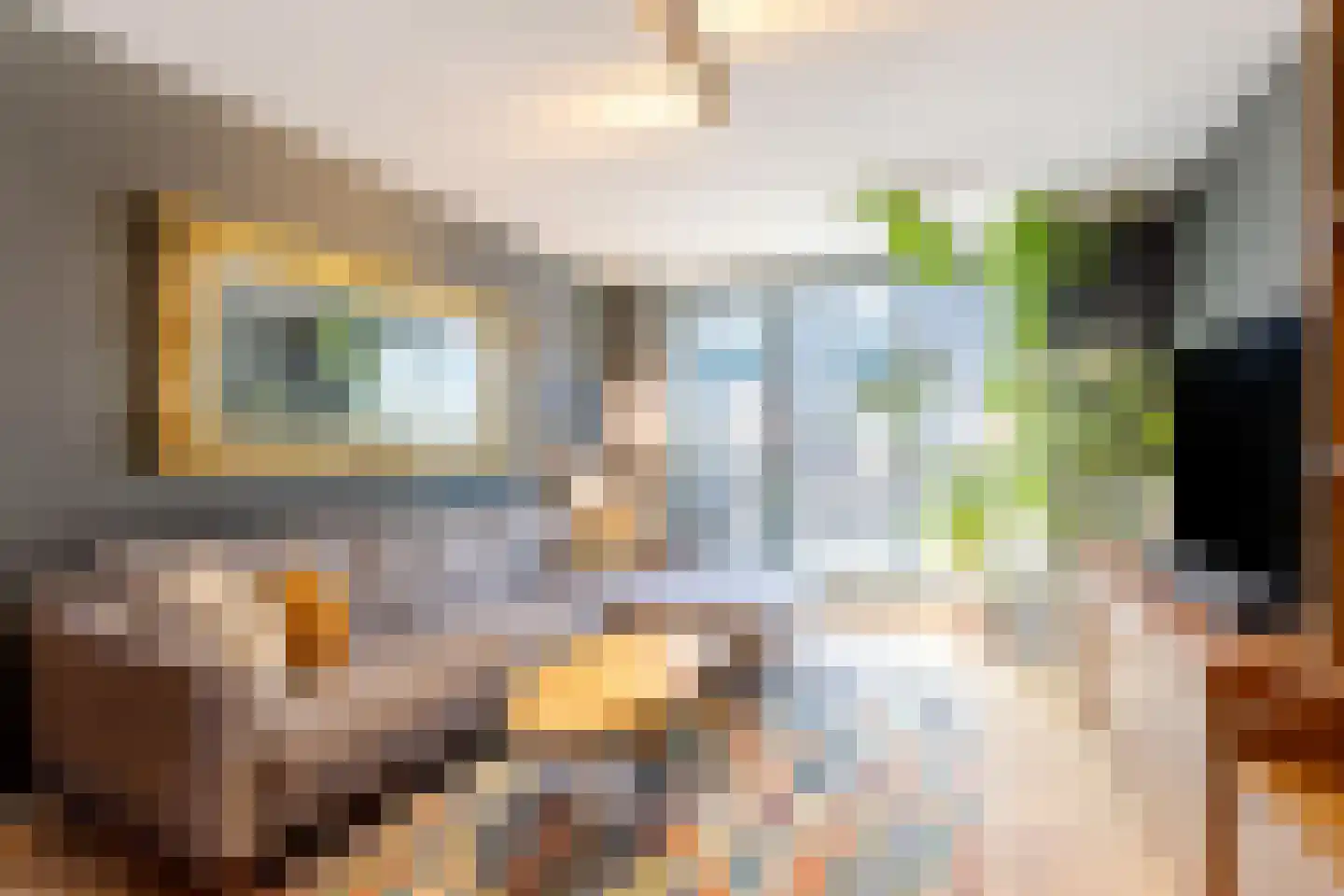 Dirk van Hasseltssteeg 26 C Amsterdam thumbnail 10