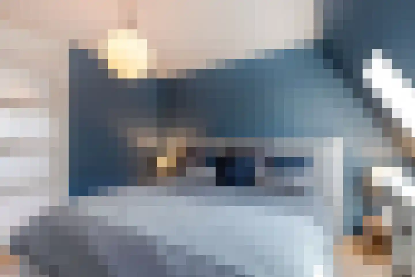 Dirk van Hasseltssteeg 26 C Amsterdam thumbnail 32