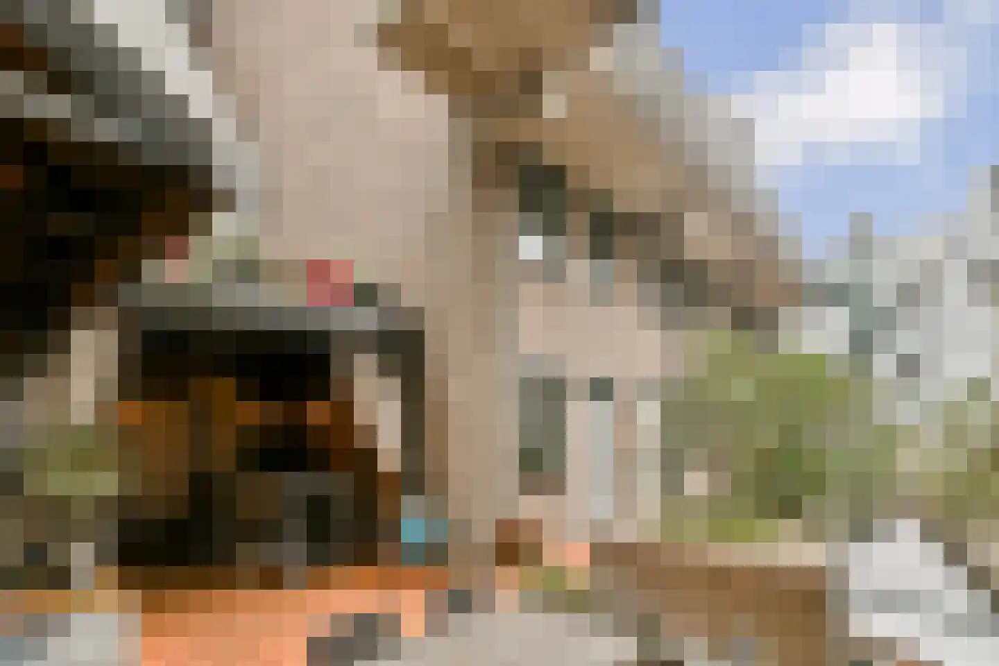 Dirk van Hasseltssteeg 30 A Amsterdam thumbnail 17