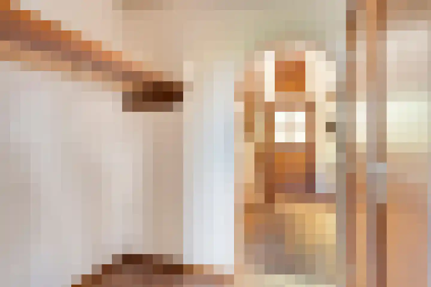 Dirk van Heinsbergstraat 1 Luyksgestel thumbnail 22