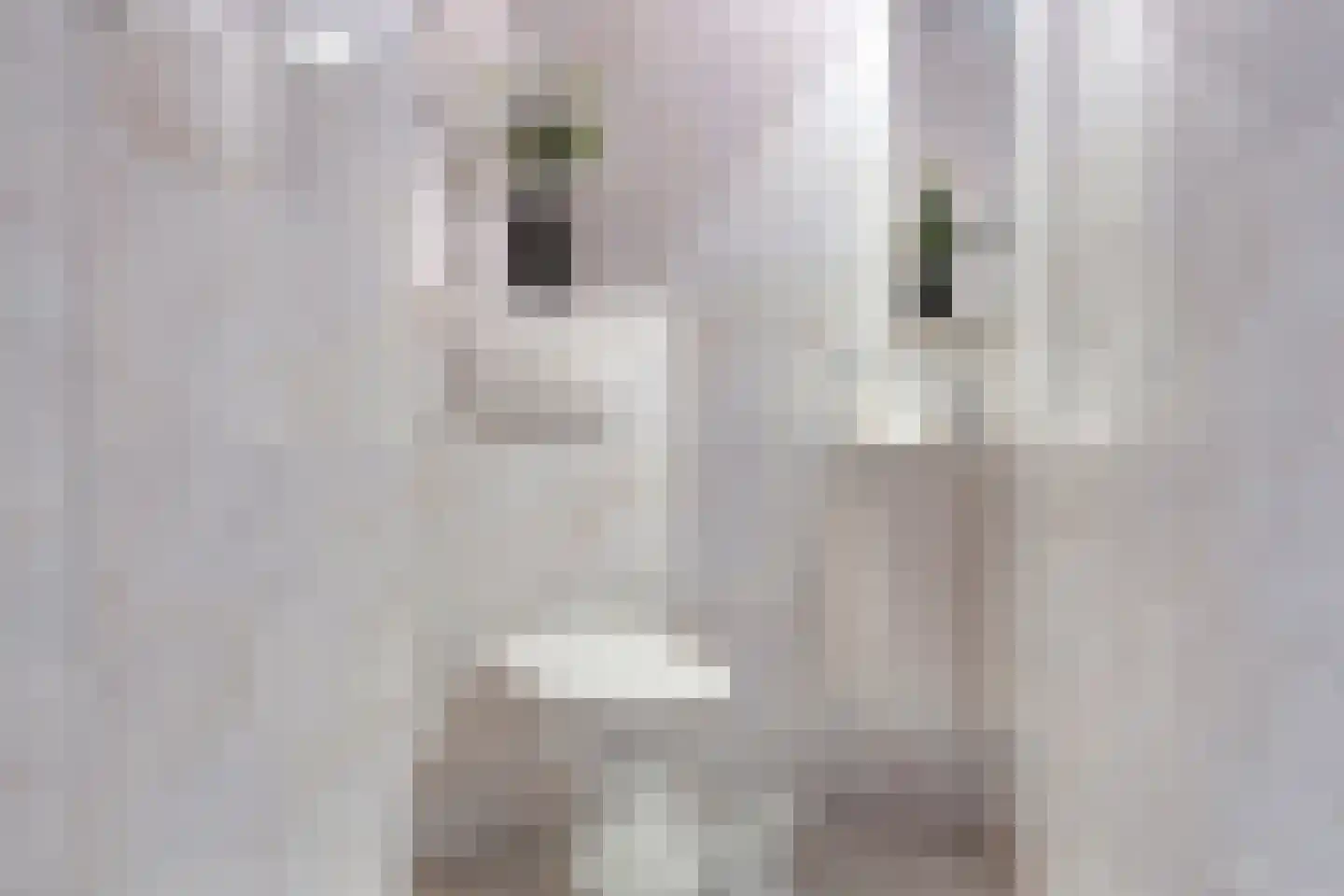 Dirk van Heinsbergstraat 1 Luyksgestel thumbnail 23