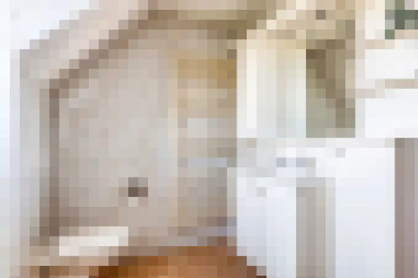 Dirk van Heinsbergstraat 1 Luyksgestel thumbnail 33