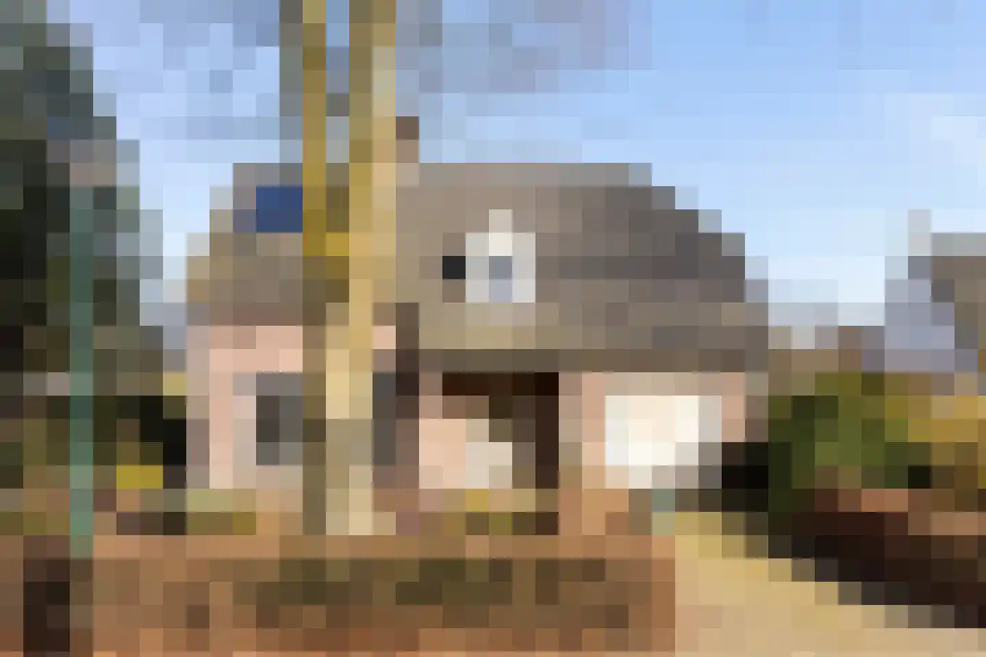 Dirk van Heinsbergstraat 1 Luyksgestel thumbnail 4