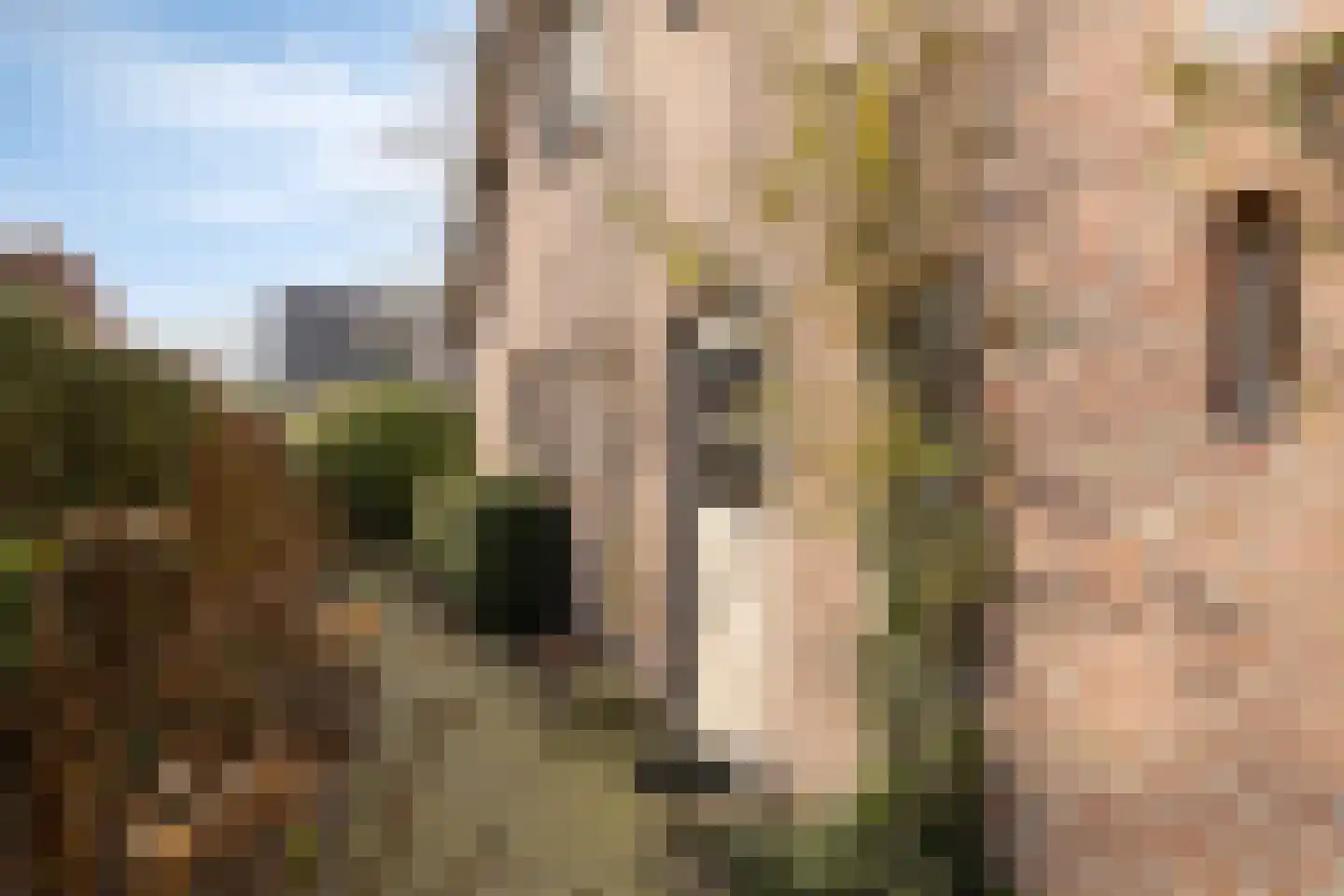 Dirk van Heinsbergstraat 1 Luyksgestel thumbnail 42
