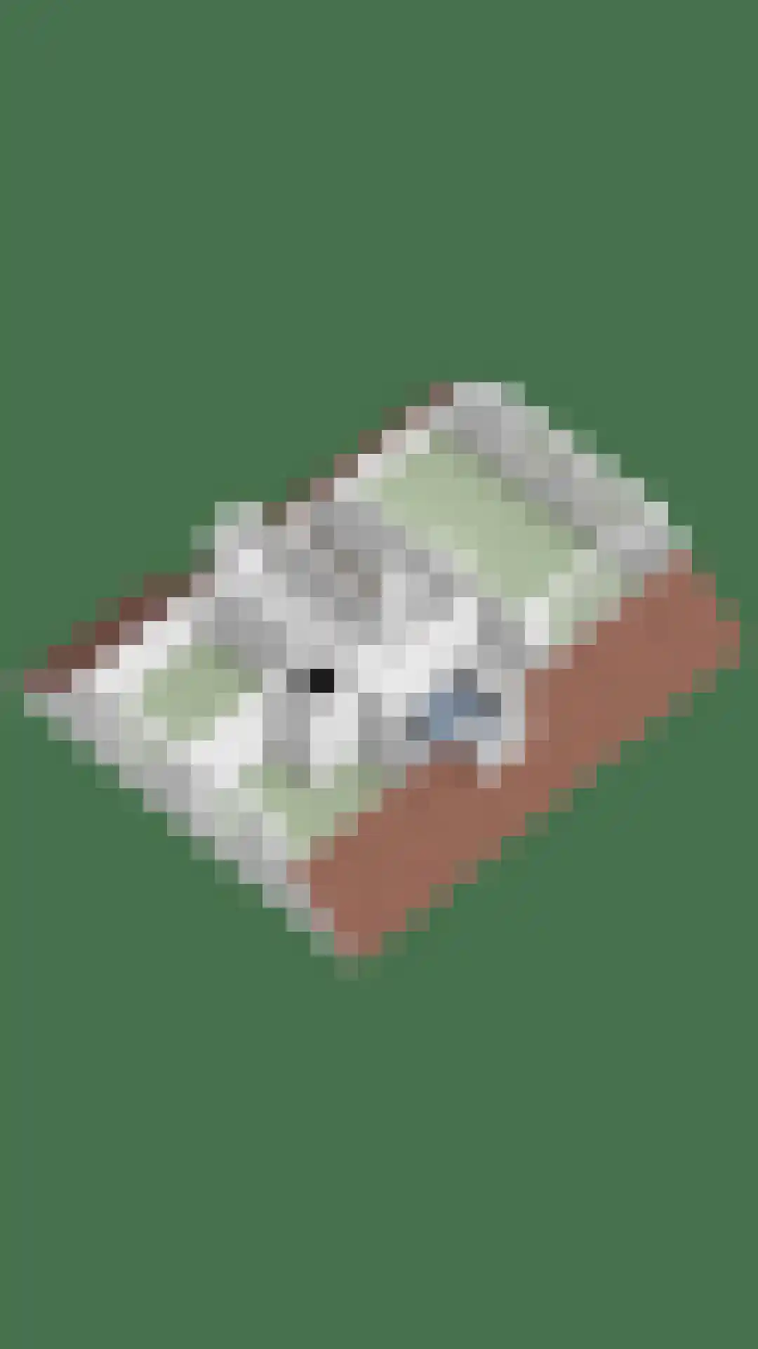 Dirk van Heinsbergstraat 1 Luyksgestel thumbnail 50