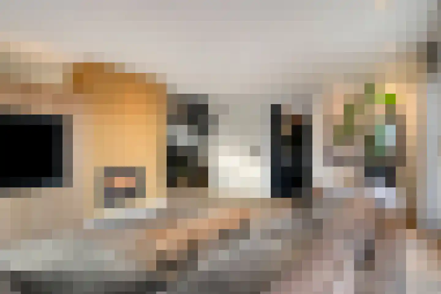 Dirk van Heinsbergstraat 11 Luyksgestel thumbnail 9
