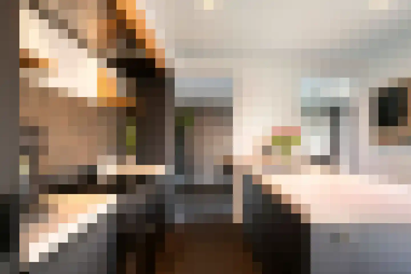 Dirk van Heinsbergstraat 11 Luyksgestel thumbnail 11