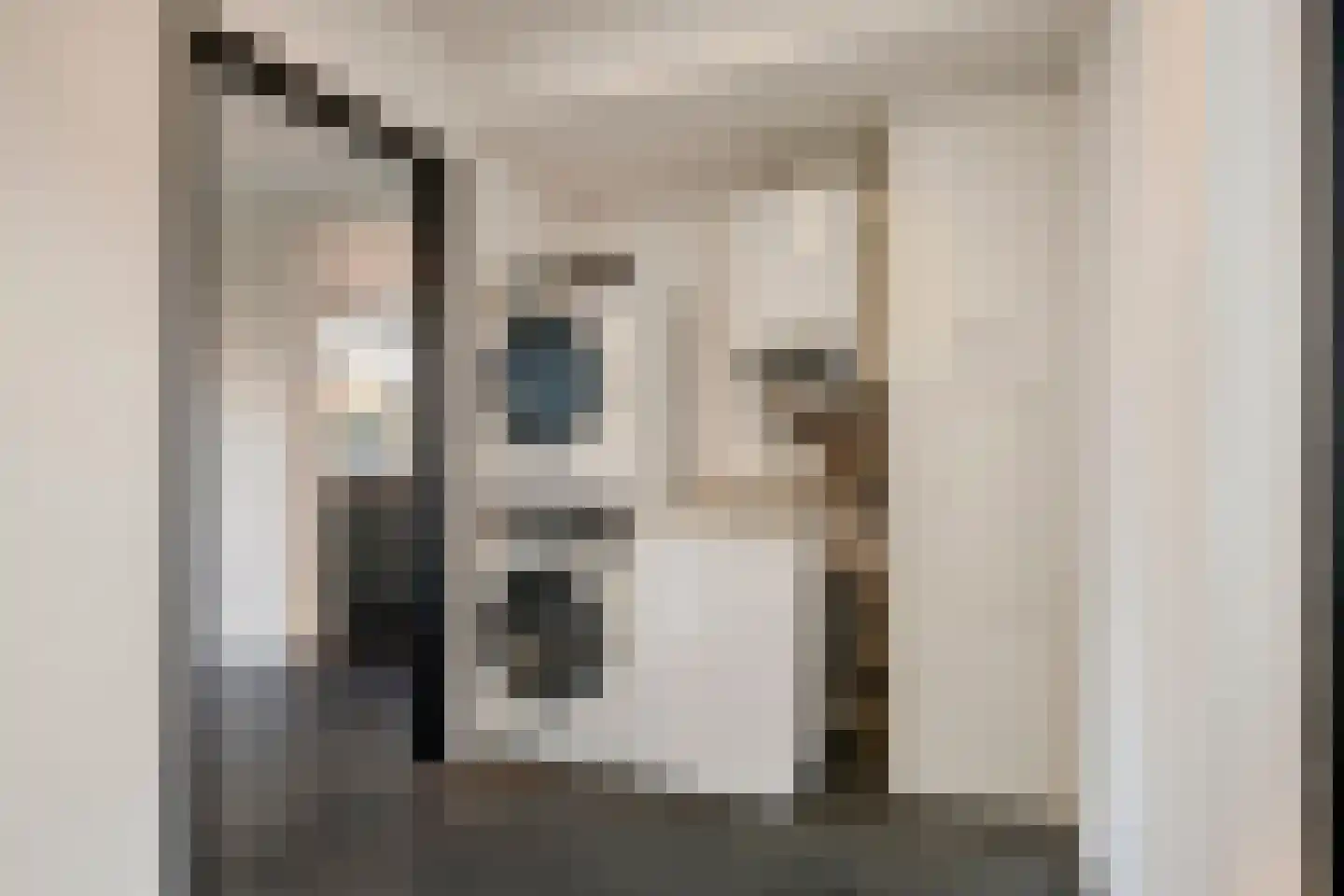 Dirk van Heinsbergstraat 11 Luyksgestel thumbnail 17