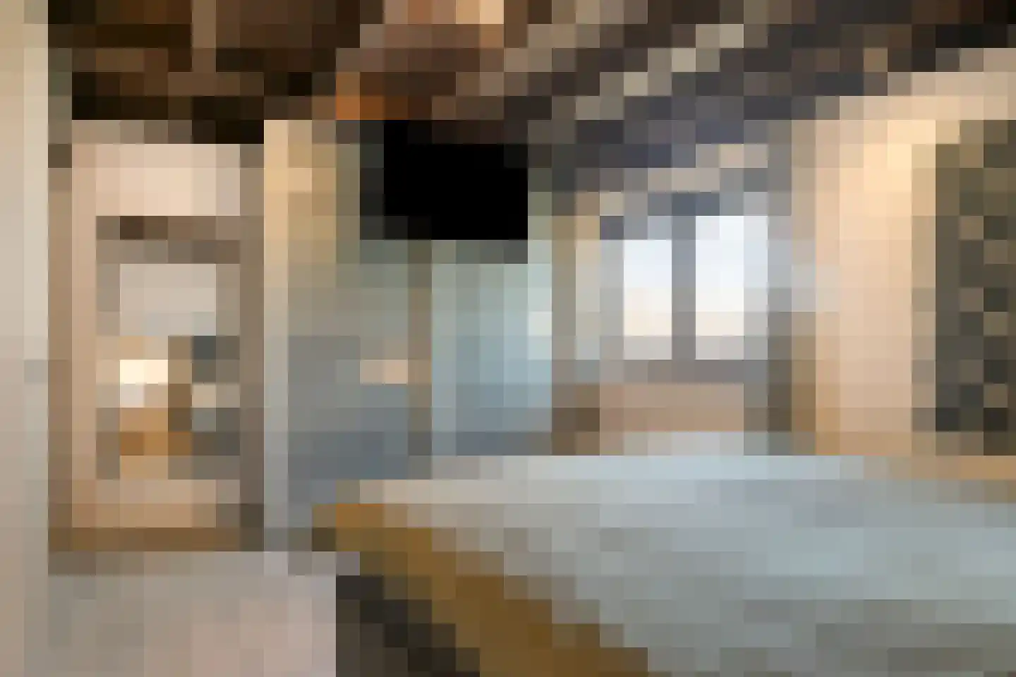 Dirk van Heinsbergstraat 11 Luyksgestel thumbnail 22