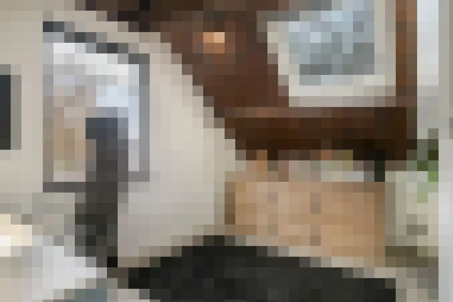 Dirk van Heinsbergstraat 11 Luyksgestel thumbnail 29