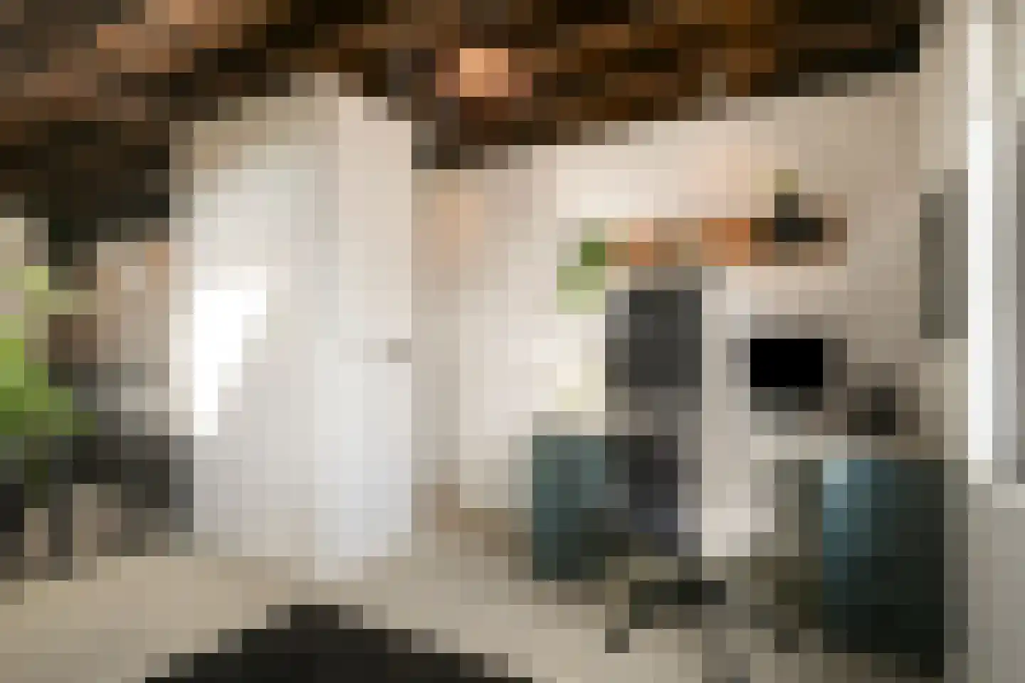 Dirk van Heinsbergstraat 11 Luyksgestel thumbnail 30