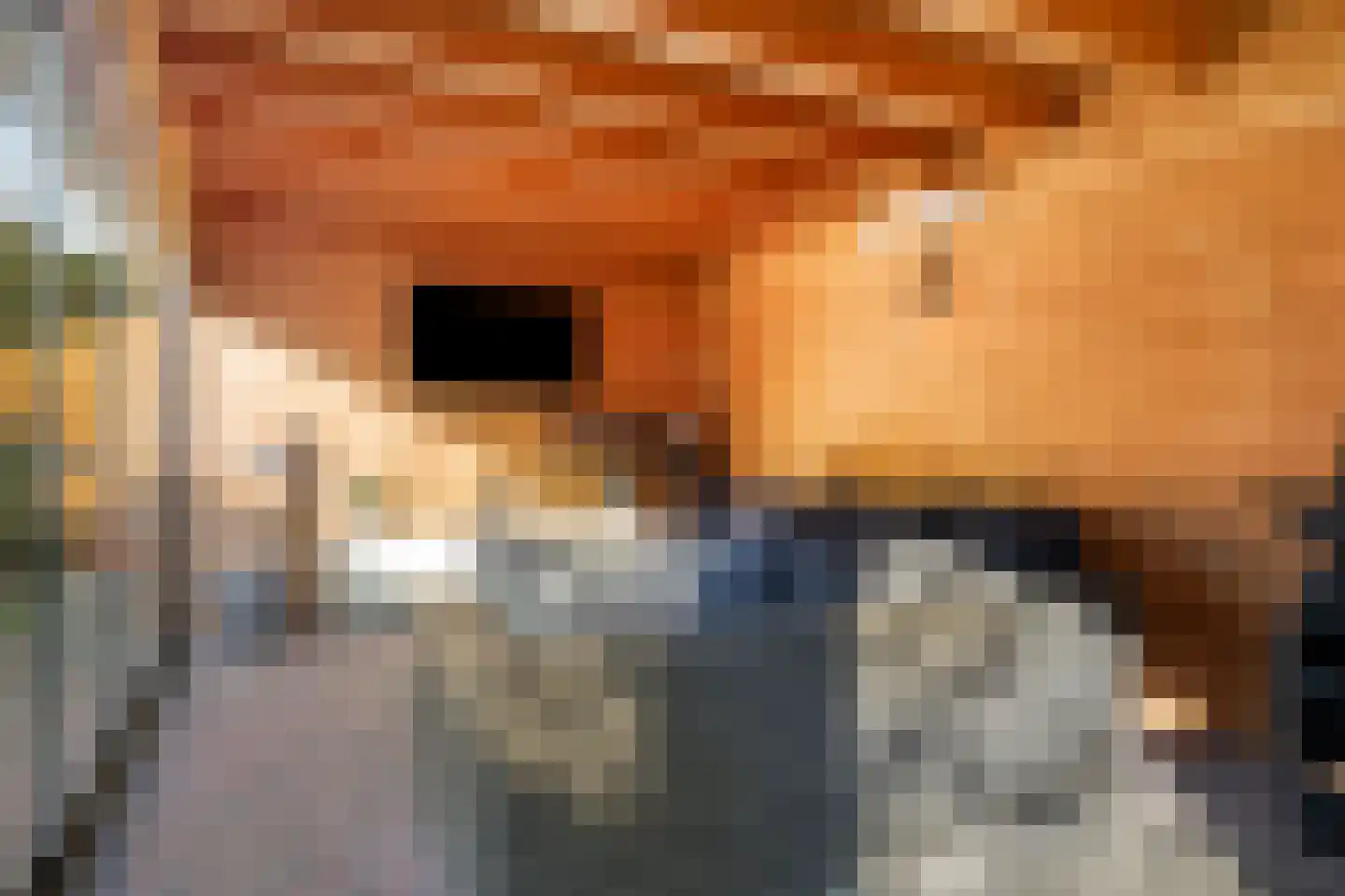 Dirk van Heinsbergstraat 11 Luyksgestel thumbnail 37