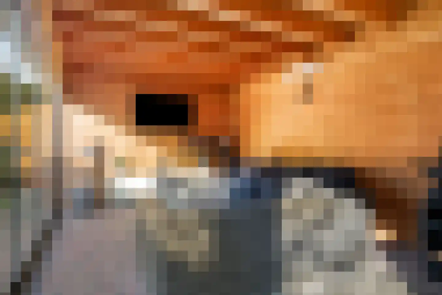 Dirk van Heinsbergstraat 11 Luyksgestel thumbnail 40