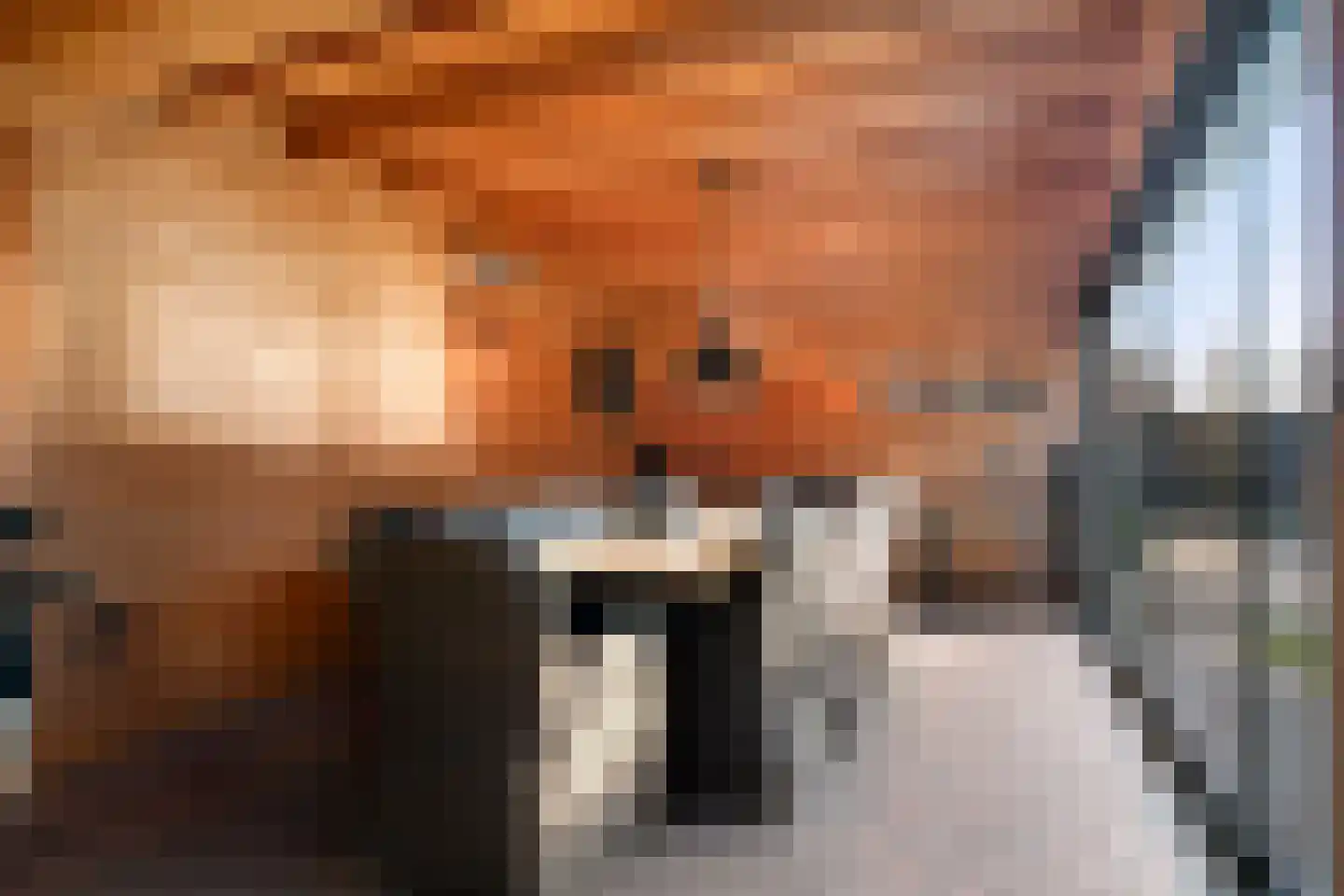 Dirk van Heinsbergstraat 11 Luyksgestel thumbnail 41