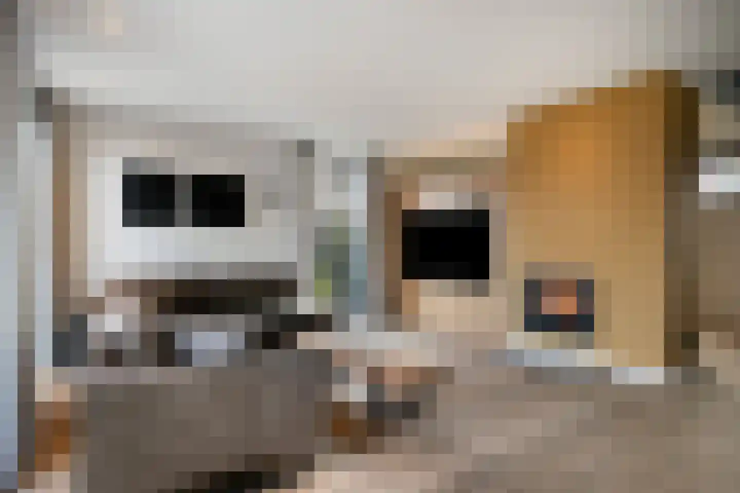 Dirk van Heinsbergstraat 11 Luyksgestel thumbnail 8