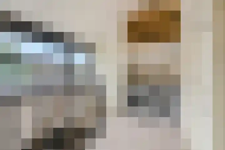Dirk van Weelaan 1 A Hooglanderveen thumbnail 17