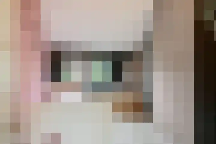 Dirk van Weelaan 1 A Hooglanderveen thumbnail 19