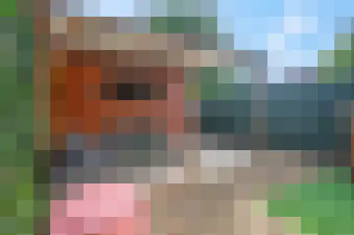 Dirk van Weelaan 1 A Hooglanderveen thumbnail 23