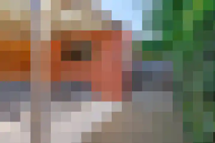 Dirk van Weelaan 1 A Hooglanderveen thumbnail 24